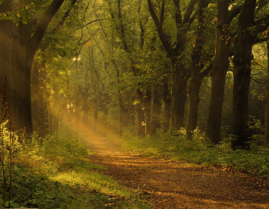 Landgoed Rozendaal, Schrevenhof, Limburg