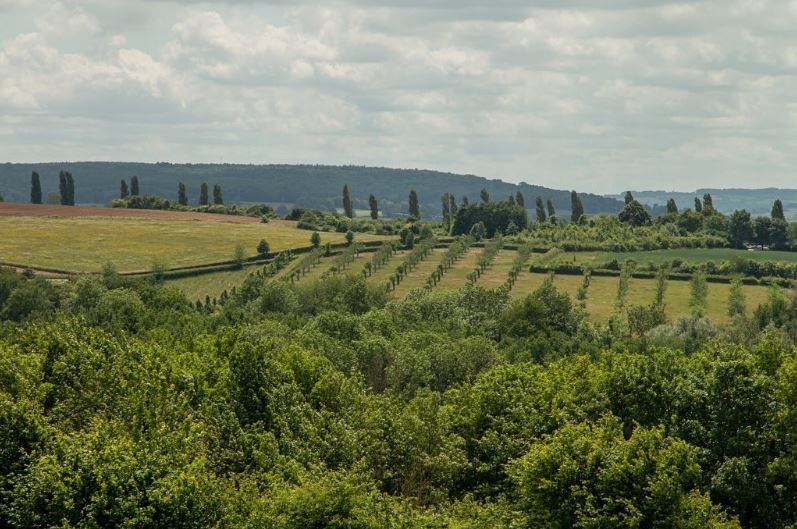 Eyserbos voor het Limburgs Natuurfonds
