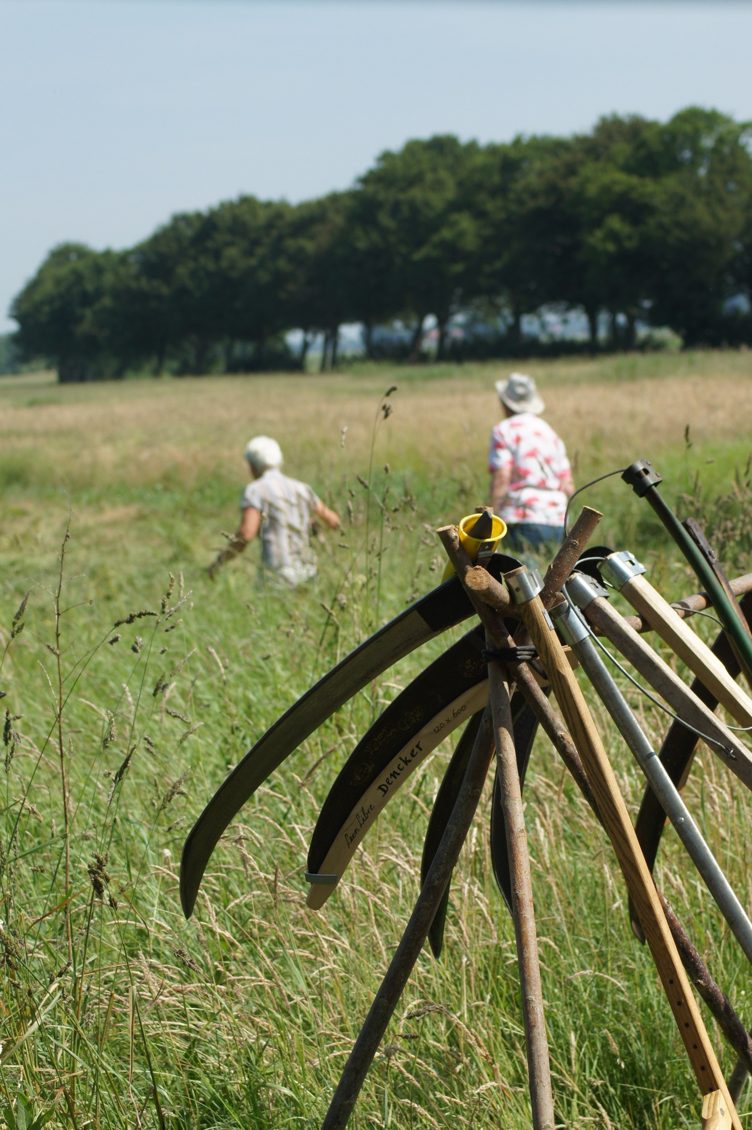 Zeisinstructie Midden (Herkenbosch)