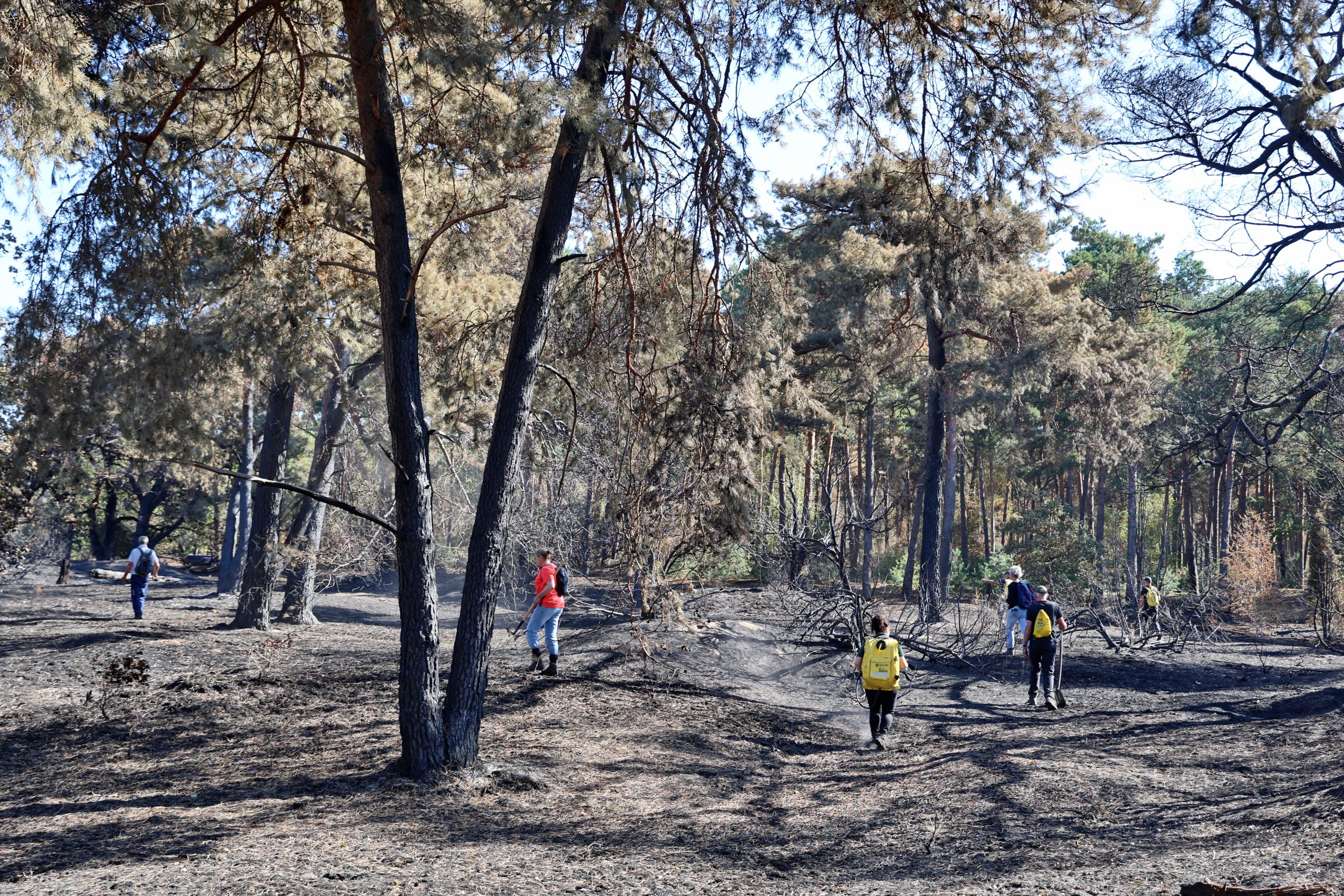 Boshuizerbergen brandvrij