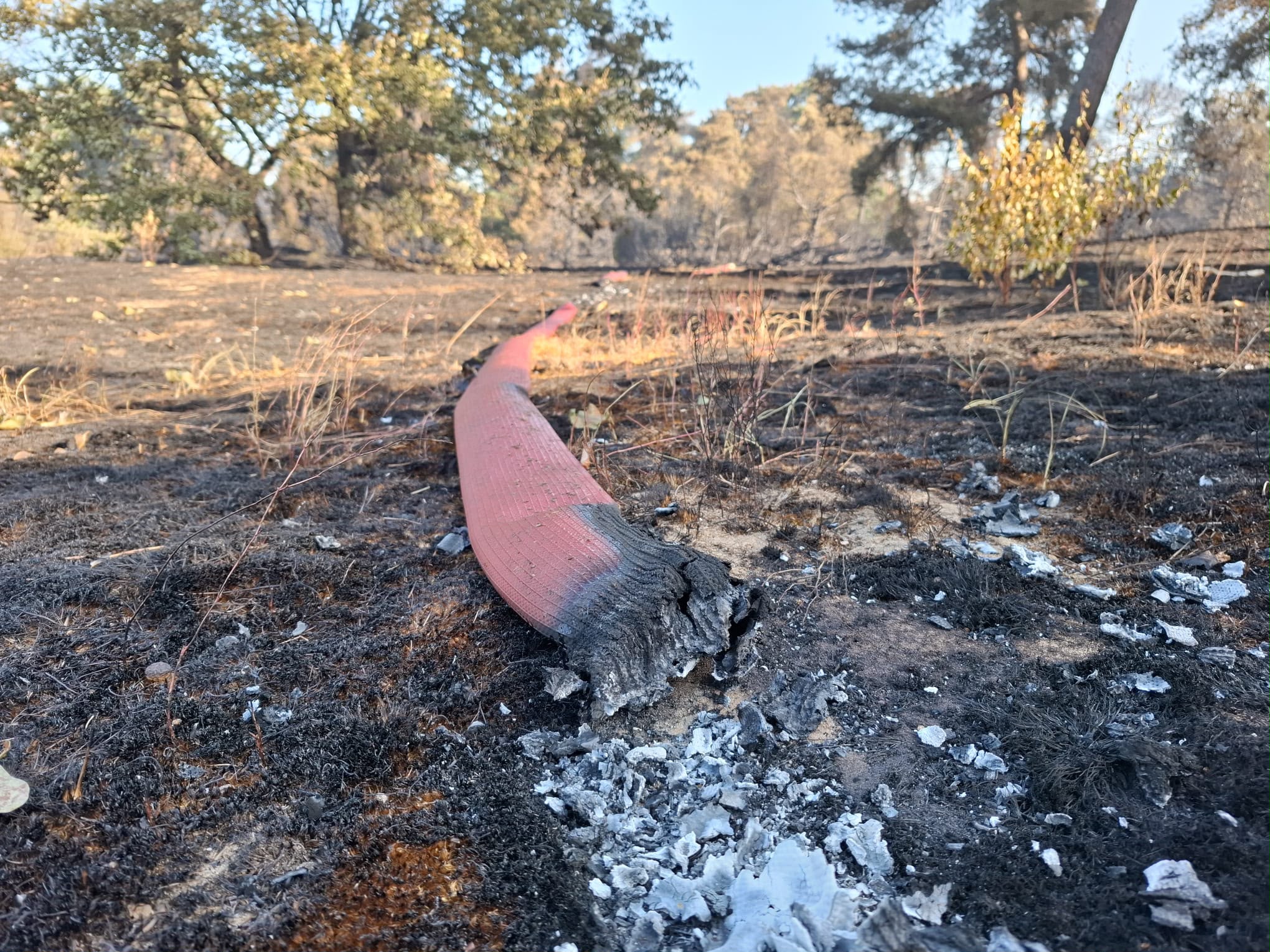 Update vanuit de Boshuizerbergen