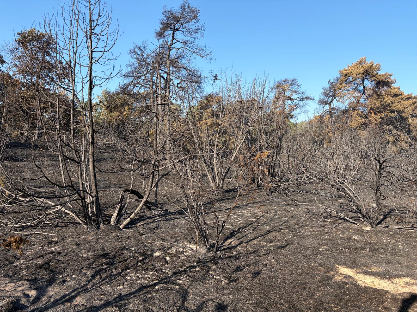 Update vanuit de Boshuizerbergen