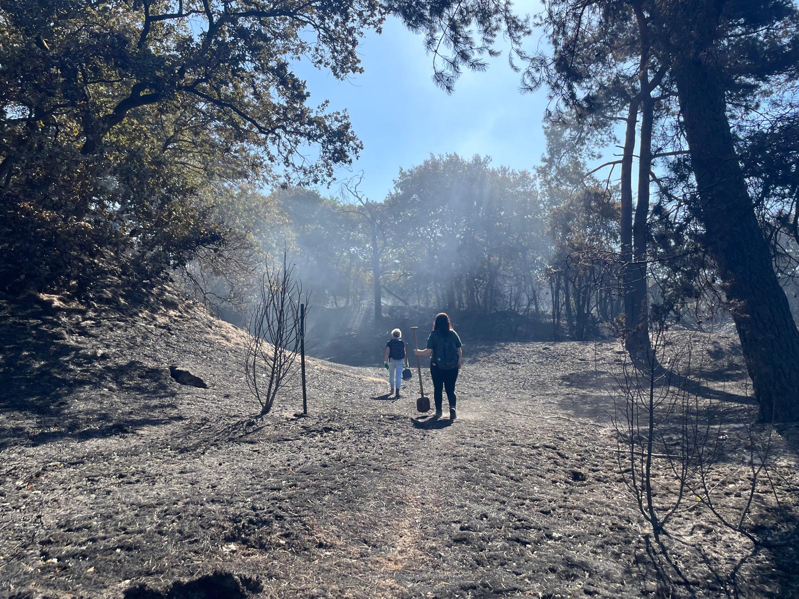 Update vanuit de Boshuizerbergen