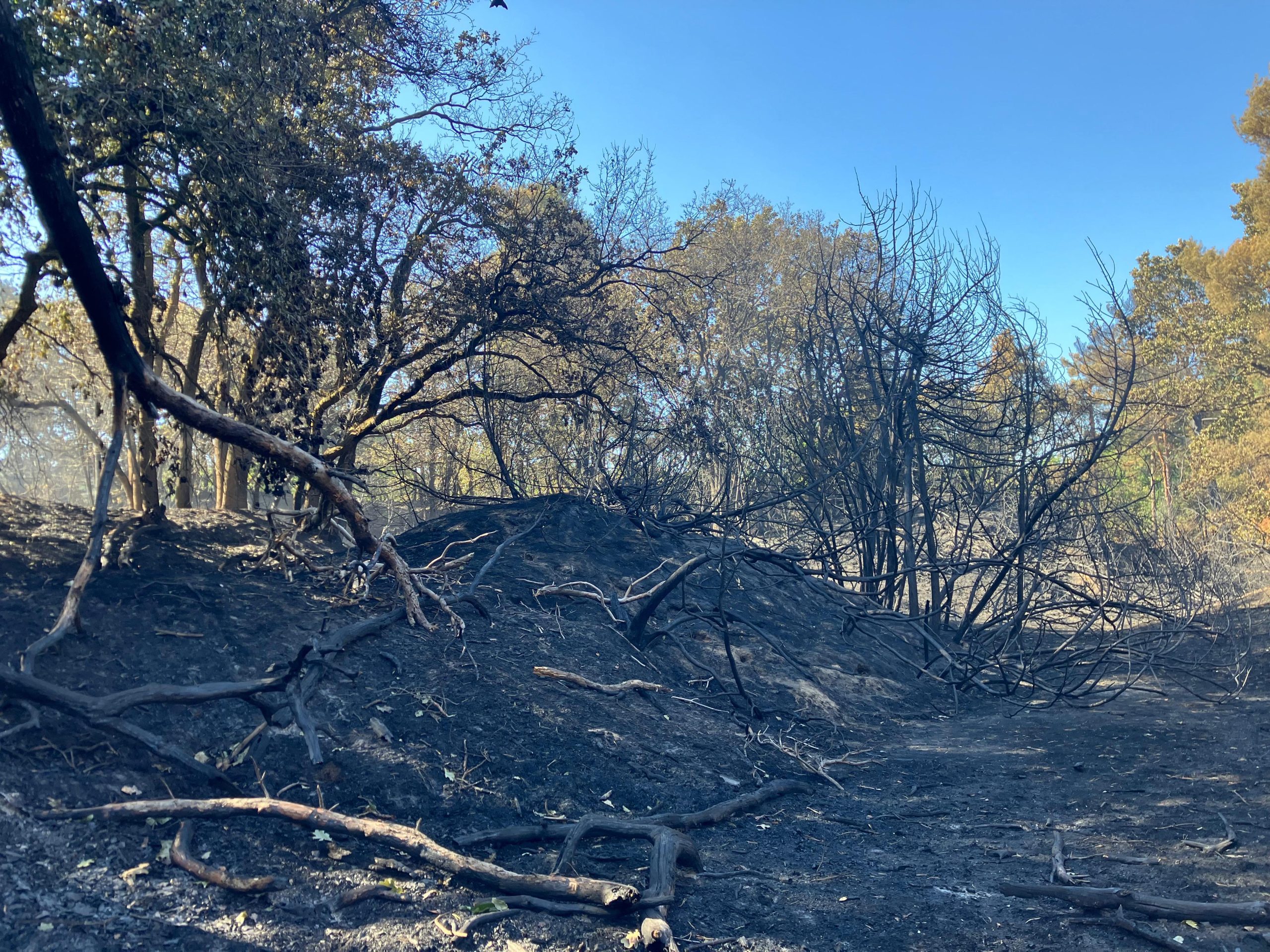 Update vanuit de Boshuizerbergen