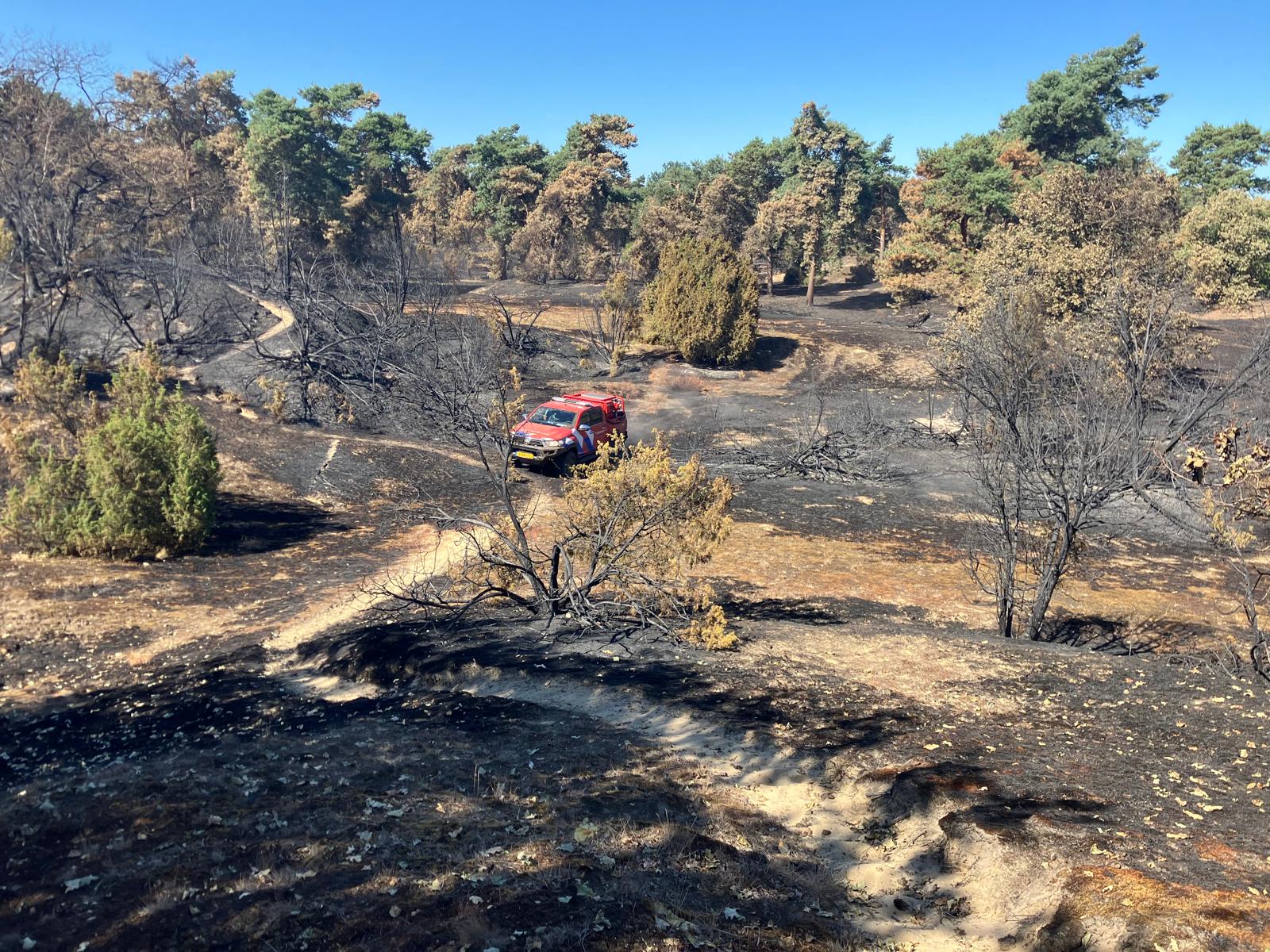 Boshuizerbergen brandvrij